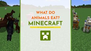 What do animals eat in Minecraft